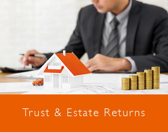 Trust and estate returns