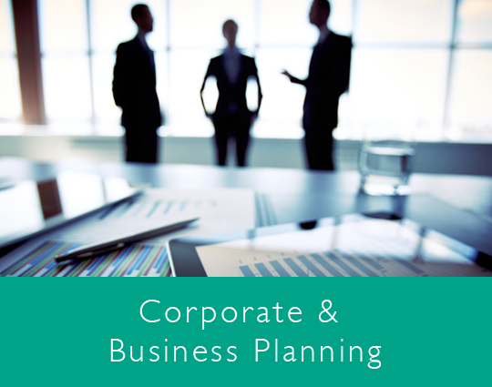 Corporate and Business Planning 